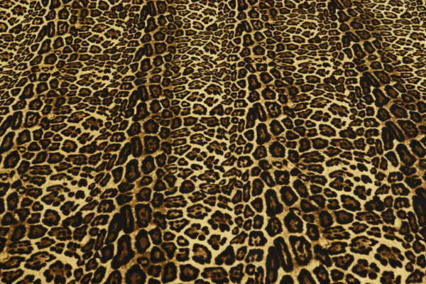 Bengaline Animal Print - Image 3