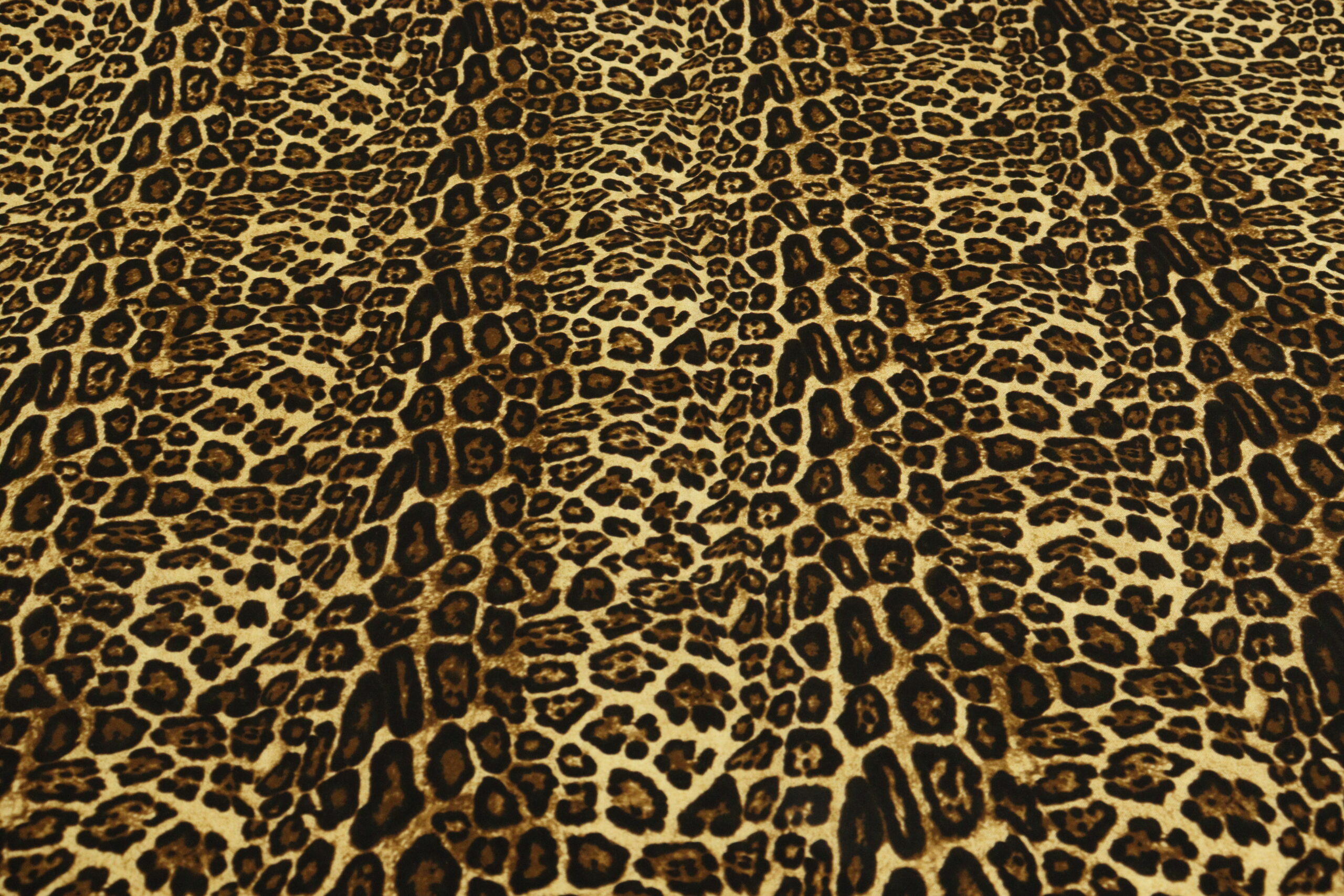 Bengaline Animal Print - Image 3
