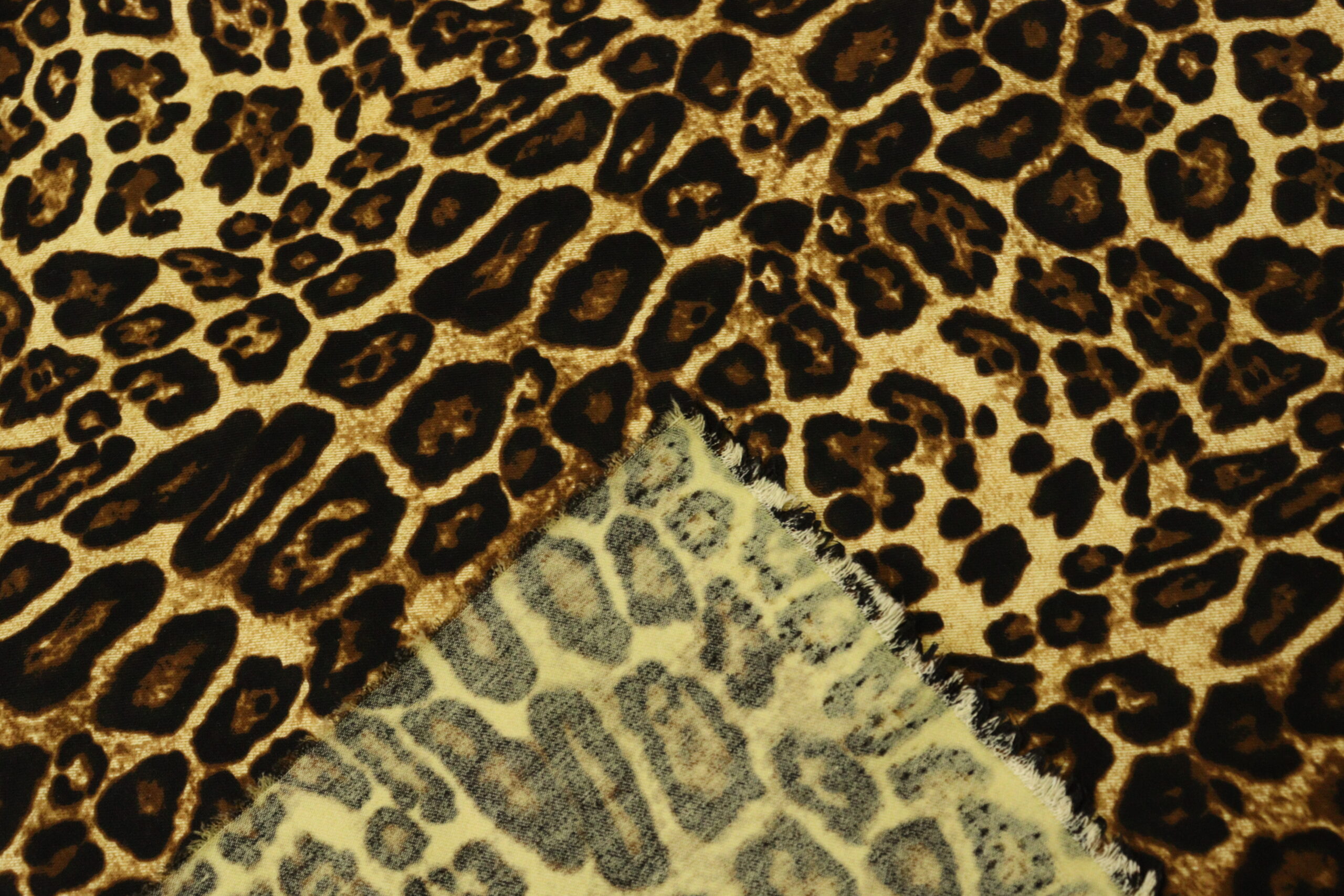 Bengaline Animal Print - Image 2