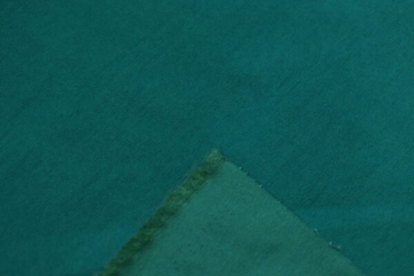 Bengaline Liso - Image 6