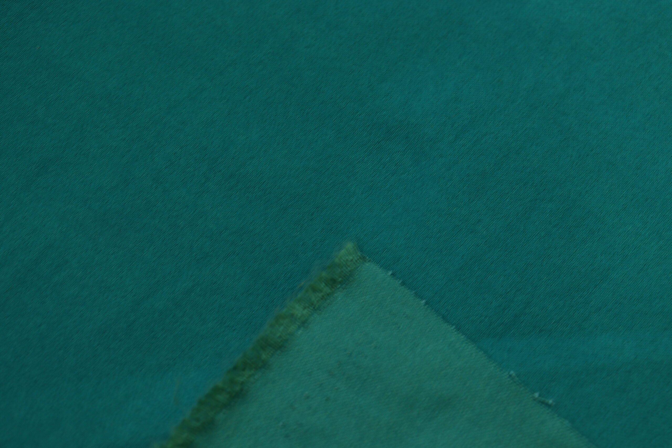 Bengaline Liso - Image 6