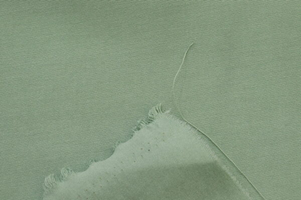 Bengaline Liso - Image 7