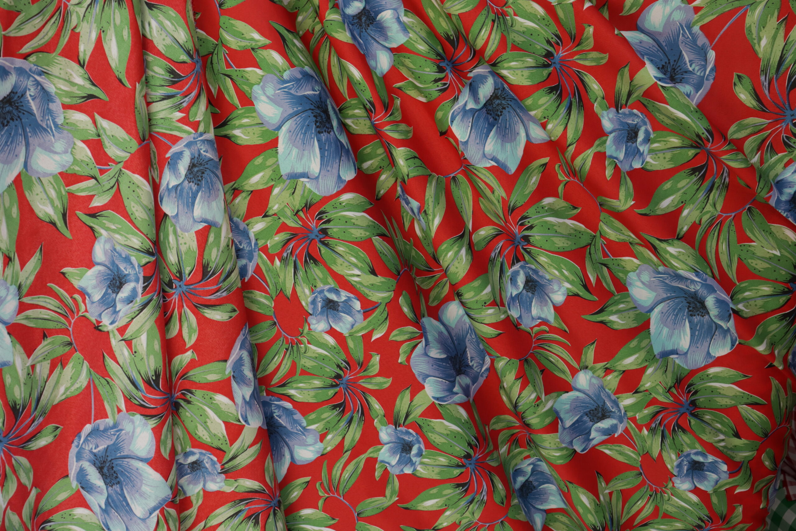Oxford Estampado - Image 3
